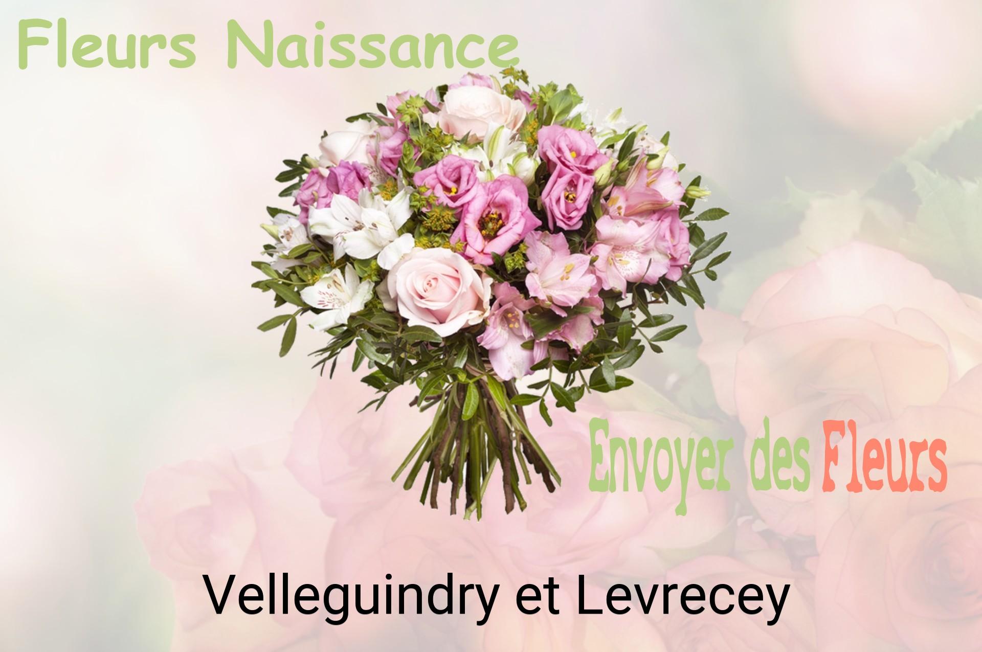 Bouquet de fleurs de naissance livré à Velleguindry-et-Levrecey