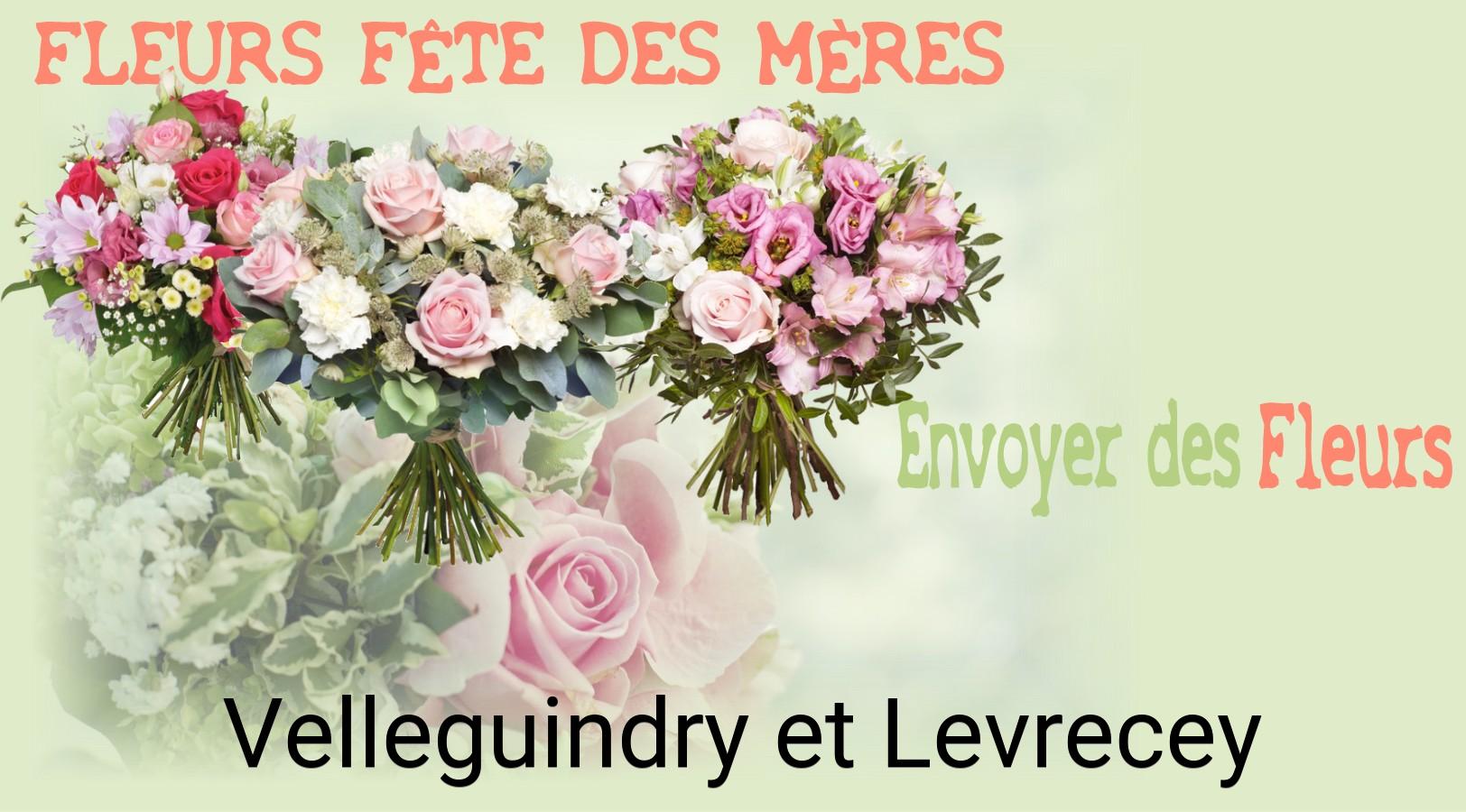 Bouquet de Fête des Mères livré à Velleguindry-et-Levrecey